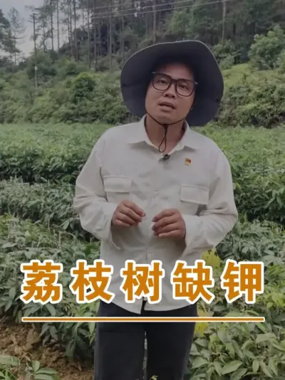 ֦ȱؿ#ɽ֦#ũҵҵ#ũ2025#ֹ#֦ݪֲ@