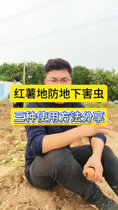 طºʹҪ#ݪֲ #º #º洦óͷҪ #ũũ #ũҵݪֲ