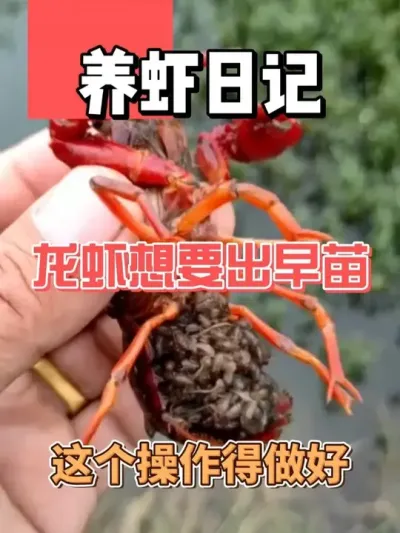 ϺҪĶҪҪǺ #ˮֳ #СϺ #Ϻֳ #ũ #ũҵ