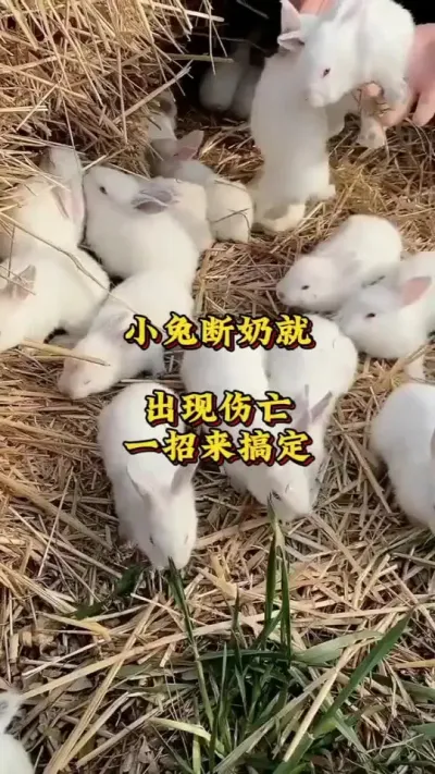 Сö̾ͷһ㶨###շ#ֳ