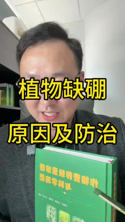 ֲ΢ԪҪֲΪʲôȱҪЩطȱñҹȵɰԼϷԺȻ𴢱