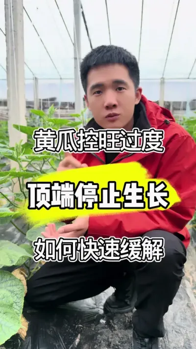 ƹϿӲô֪ #ũҵݪֲ #ũ #ƹݪֲ