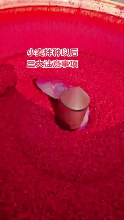 #ũ#ũ#ݪֲ#ũ#ݪֲС