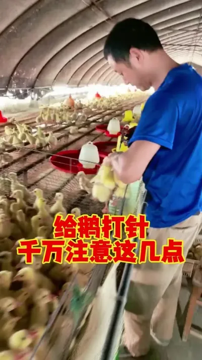 עעصļ# #շ # #ʨͷ #