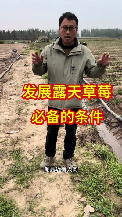 #¶ݮ#¶ݮݪֲ #¶ݮƷ