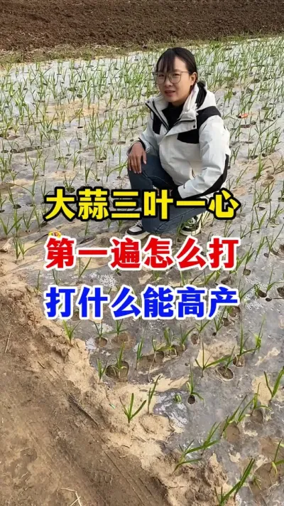 Ҷһô#ݪֲ##ײ#߲#ũҵ֪ʶũ