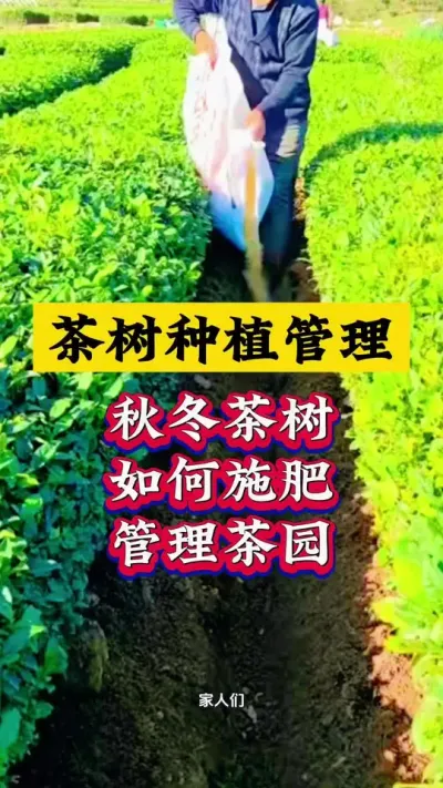 ﶬڲ԰#ũ֧ũ #ݪֲ #԰ #