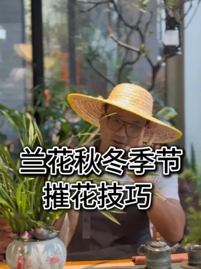 ݻ ﶬسöҪ# #ݻ # # #