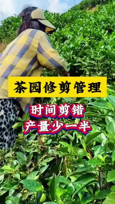 ޼#ݪֲ #԰ #ѿ #ݪֲ #ũ