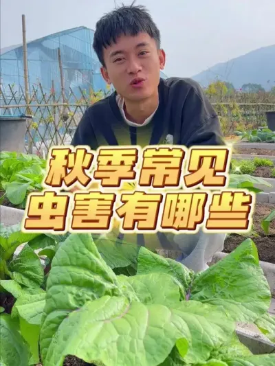 ＾溦ЩӦô #ݪֲС #ֲ #С #עһѧֲ #ͥݪֲ