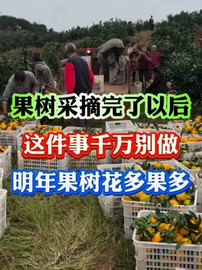 ٲժһӷʱ#ݪֲ # #԰ #ݪֲ