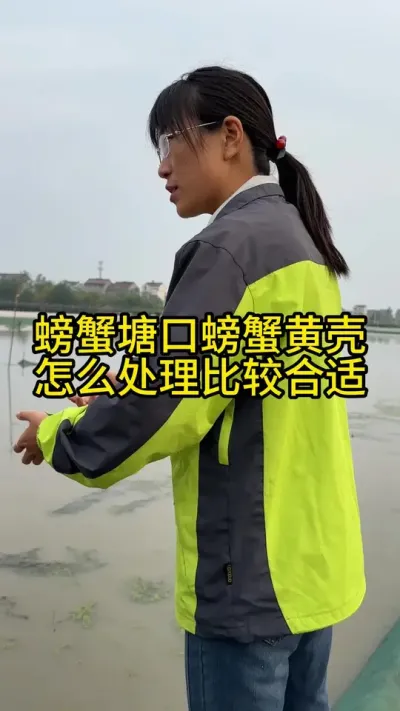 ззôóͷʣ #ֳģʽ #ũ #ˮֳ #ũ2025