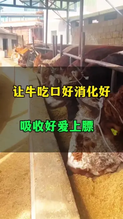 ţԿںպ#ţֳ #θ #߲ʳ