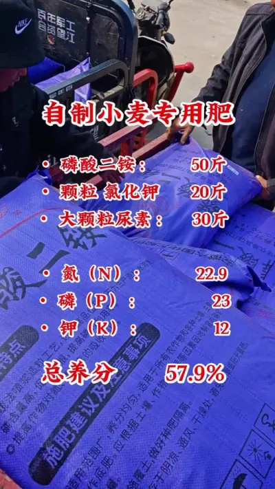 Сר÷簸#ũ#ũ#ݪֲ#DOU #ũ