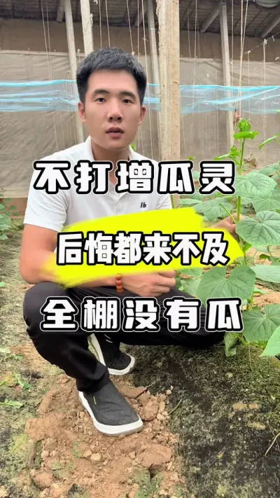 ȫûйڶȱ #ũ #ũ #ũݪֲ #ƹݪֲ @С @͹ٷƹ