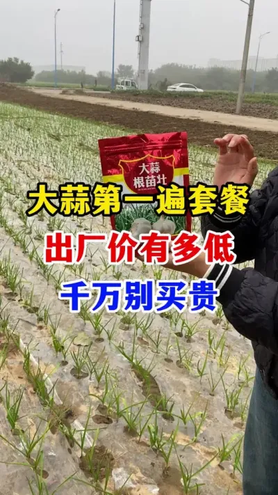 һײͳж#ݪֲ##ײ #߲#ũҵ֪ʶũ