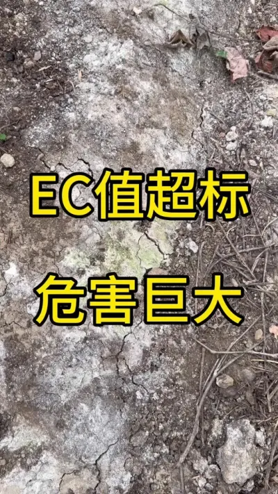 òһװ׵ηɫҲͬлеķϱƺˮһְӲܳõũϵܹǵĲֲ