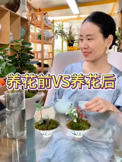 养花前VS养花后#养花 #养花人的乐趣 #养花人 #花卉 #花卉绿植