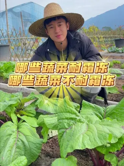 Щ߲˪Щ߲˲˪ #ݪֲС #ֲ #עһѧֲ #ֲС #ͥݪֲ