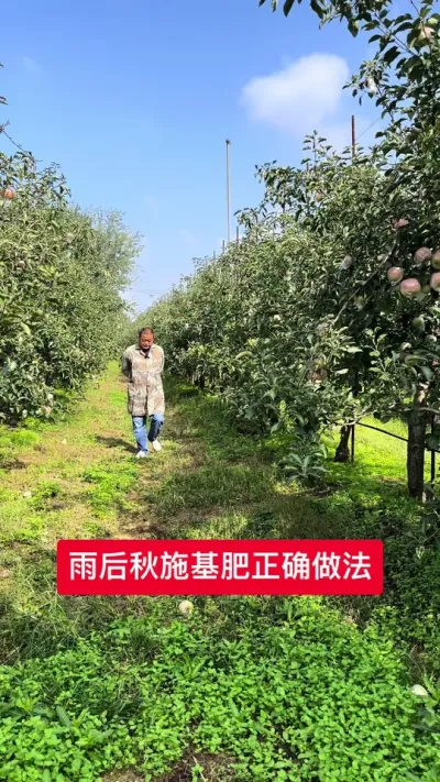 #ũ2025 #ũ #溦 # #޼