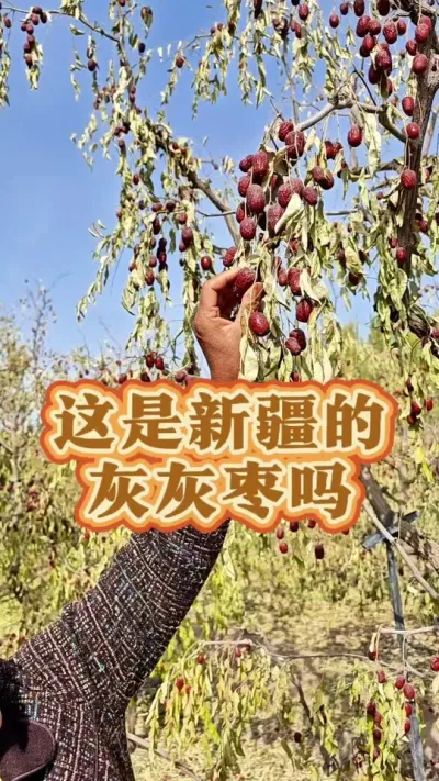 ½Ļһ ˿½Ļһ#½ # # #½֮ #ũ