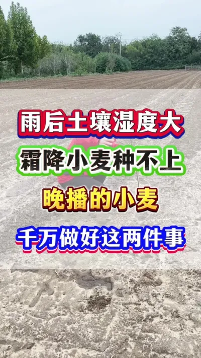 ʪȴ˪СֲСҪעأ #Сݪֲ #С߲ #Сݪֲ # #ũҵݪֲ