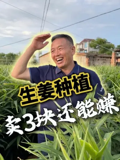 ݪֲֻҪ3鶼׬#ݪֲ#ũҵ #ũ #ũҵݪֲ #ũ