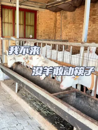 ڴĸ? #ũ #ũ2025 #ɽ #紴ҵũ #ũֳ