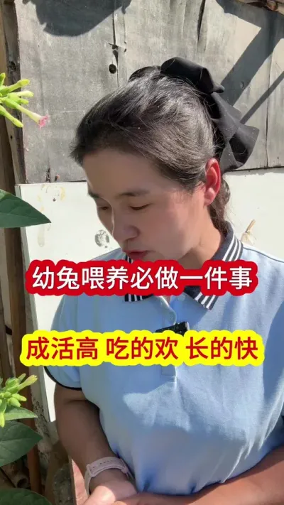 养兔喂料必做一件事，成活率，吃的欢，长的好，养兔事半功倍#养兔 #兔子 #肉兔养殖 #养兔人