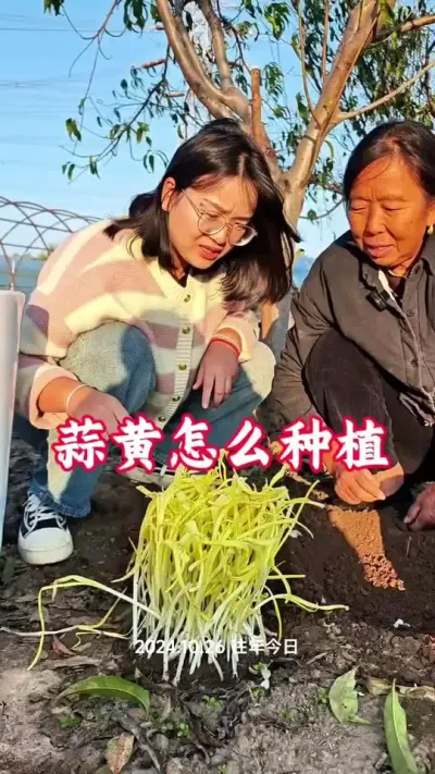 ݪֲ#ݪֲ #ݪֲ #ݪֲС #