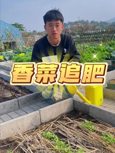 ô׷ #ݪֲС #ֲ #עһѧֲ #ݪֲ #ͥݪֲ