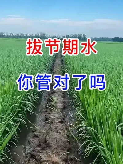 νˮܶ #ũæʱ  #ũҵ֪ʶũ  #ũҵС֪ʶ  #ũ