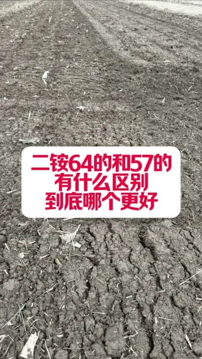 64Ķ狀57Ķ泥ĸã #ũҵݪֲ #ũ֧ũ #ũҵݪֲ #ݪֲС #ũҵƹ