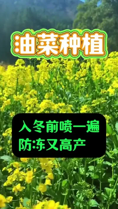 Ͳ붬ǰһָ߲#Ͳݪֲ #