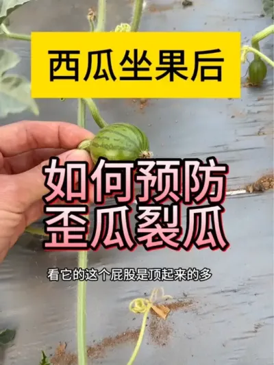 #抖音助农 #抖音助农扶农 #抖音助农在行动