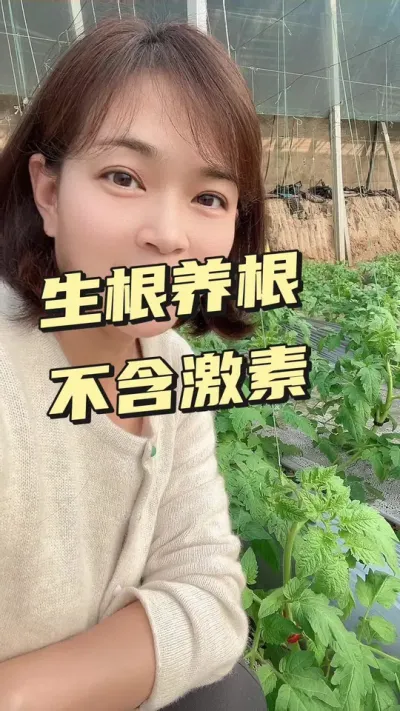 #ԴƸؾ#󋠶#ݪֲ## Ҫ٭СƳ@С