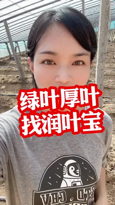 #Ҷ#ȷ Ԥ #ݪֲ##ݪֲ СƳµ@С