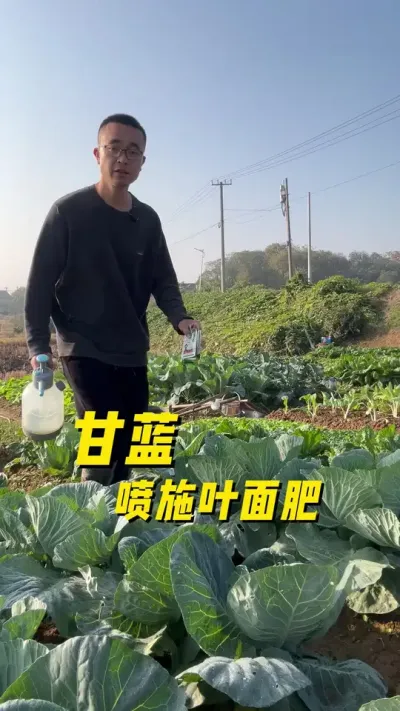 ôʩҶ#ֲ #ݪֲС  #ݪֲ #ѧֲ #עһѧֲ