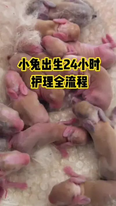 Сó24Сʱչ˻ʿȫ#ũ#ֳ#