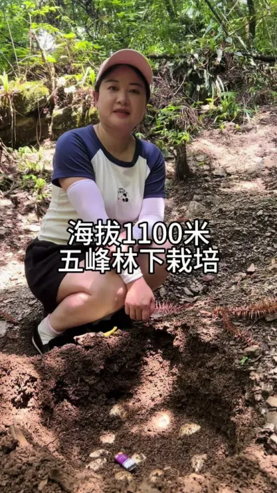 ����1100���������ݪֲ #����ݪֲ #���շ��� #������ũ�� @����С����