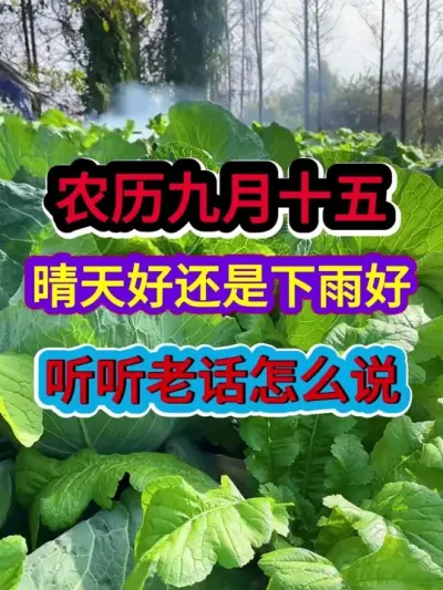 ʮվũô˵ #ũҵ #ũ #ũϻ #ũ #ũҵݪֲ