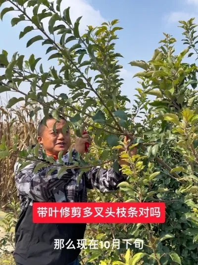 #ũ2025 #ũ #溦 # #ݪֲ