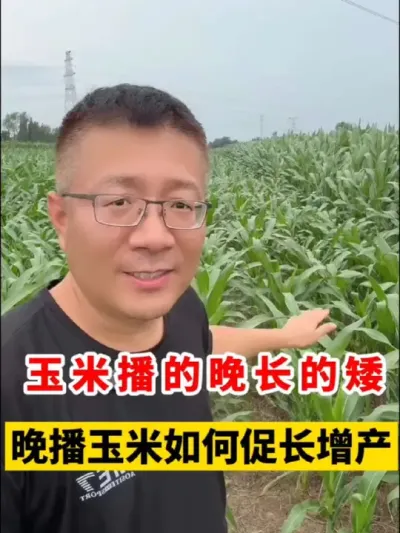 ٳ #ݪֲ #ݪֲ #׸߲ݪֲ #׸߲ #׹