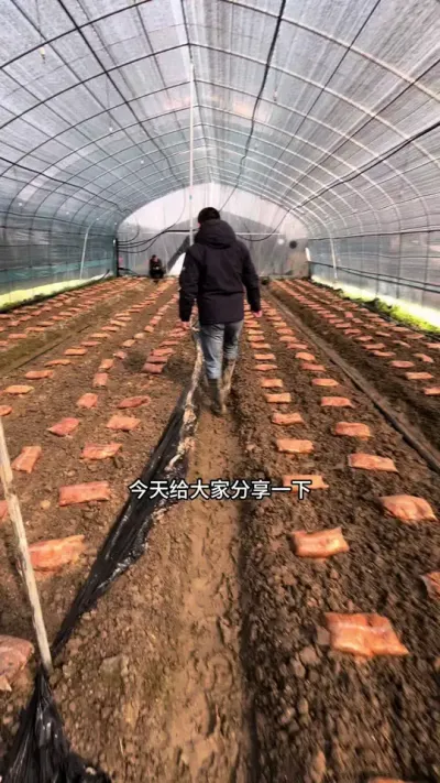 ǾӪʶ # # #Ǿ#Ǿݪֲ #Ǿݪֲ