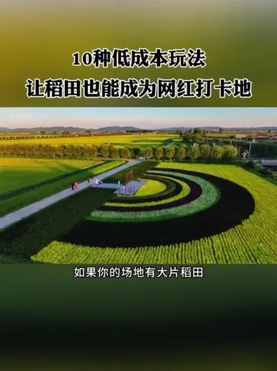 10ֵͱǮ淨õҲ죡#ũҵ #ũ #ũ #ũׯ #