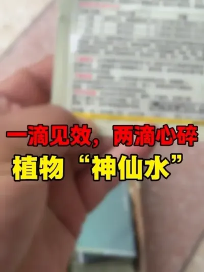 Ĺ ##ͥԺݪֲ#Ӵӣ#ݪֲ