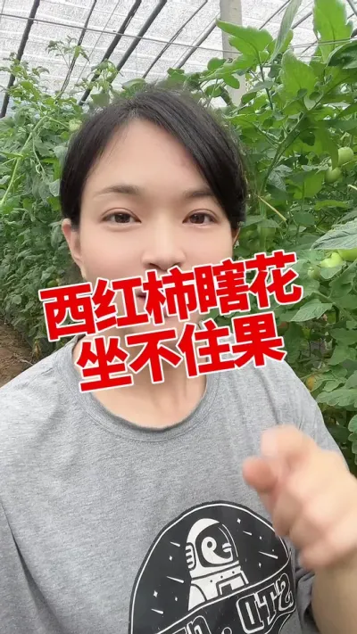 #ݪֲ#ݪֲ##¶ #ٻ ײ СƳµ @С