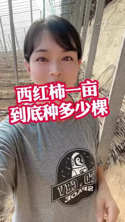 #ݪֲ###¼ҵݪֲ עת@С