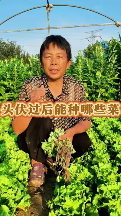 ͷЩ߲#ͷ # #ũ # #߲ @С @DOU+С @DOU+