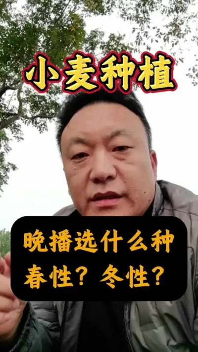 СѡʲôƷ#Сݪֲ #С